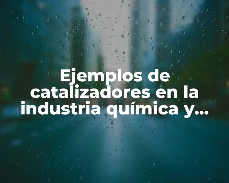 Ejemplos de catalizadores en la industria química y Significado