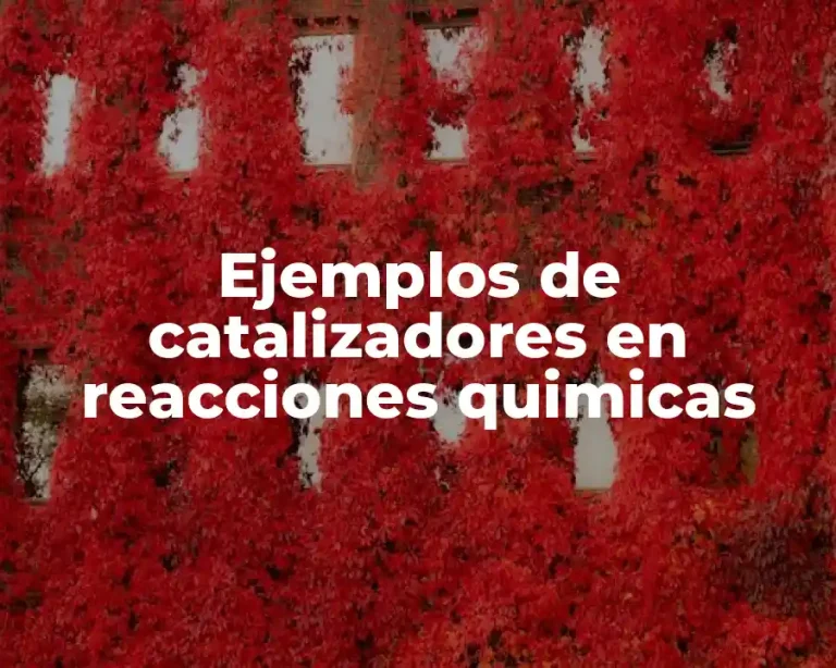 Ejemplos de catalizadores en reacciones quimicas