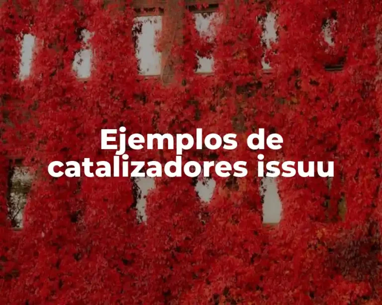 Ejemplos de catalizadores issuu