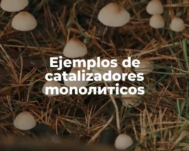 Ejemplos de catalizadores monолитicos