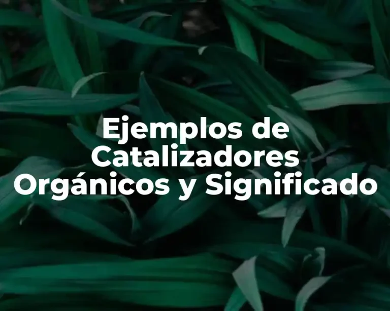 Ejemplos de Catalizadores Orgánicos y Significado