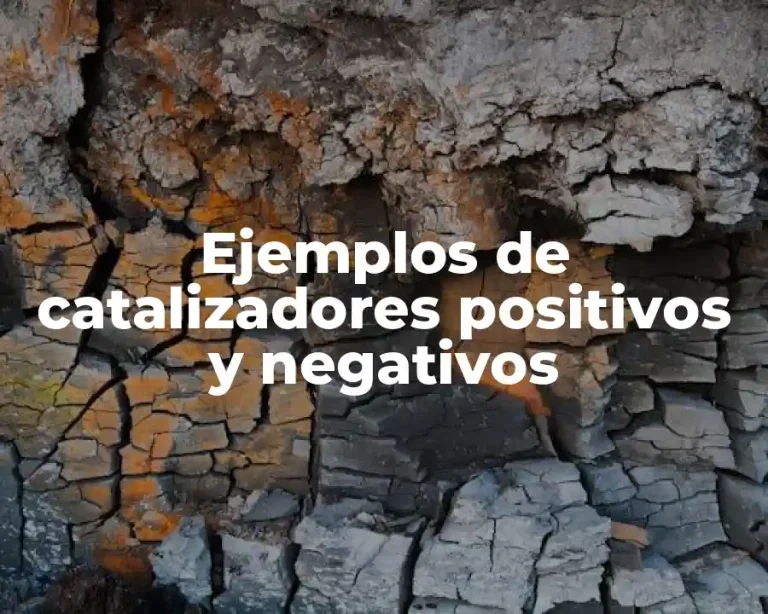 Ejemplos de catalizadores positivos y negativos