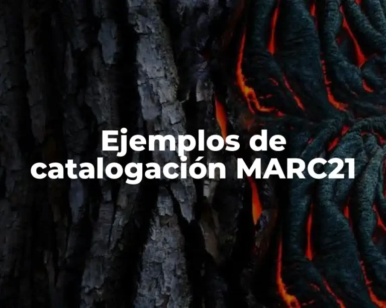 Ejemplos de catalogación MARC21
