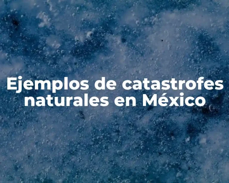Ejemplos de catastrofes naturales en México