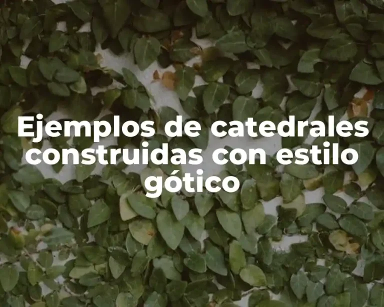 Ejemplos de catedrales construidas con estilo gótico
