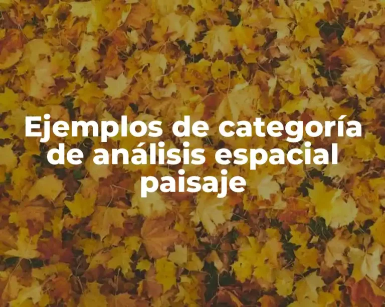 Ejemplos de categoría de análisis espacial paisaje