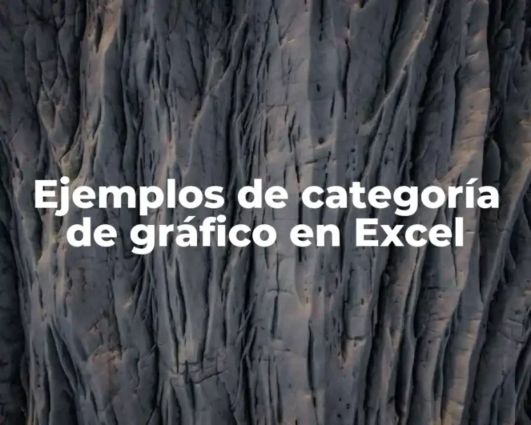 Ejemplos de categoría de gráfico en Excel