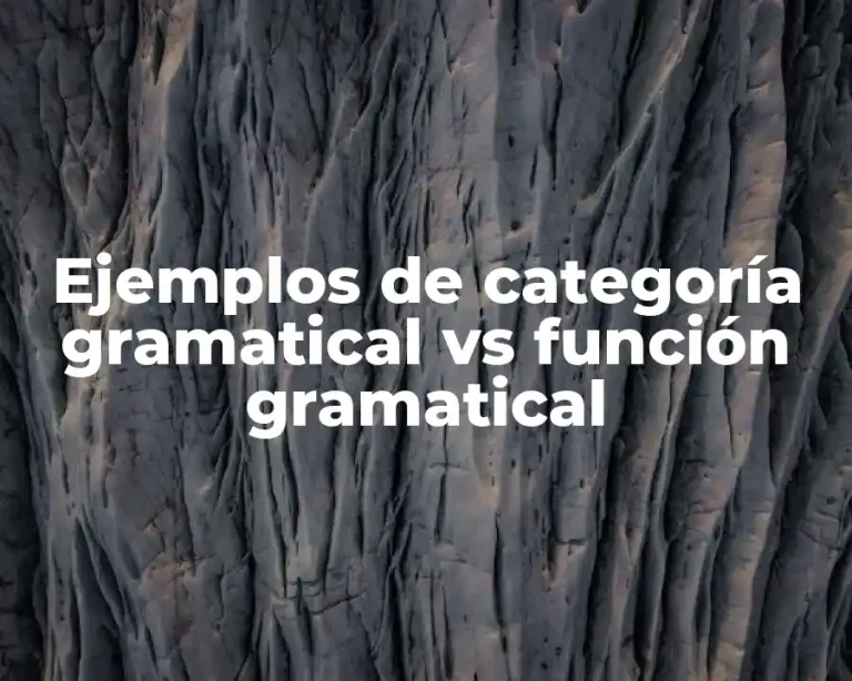 Ejemplos de categoría gramatical vs función gramatical