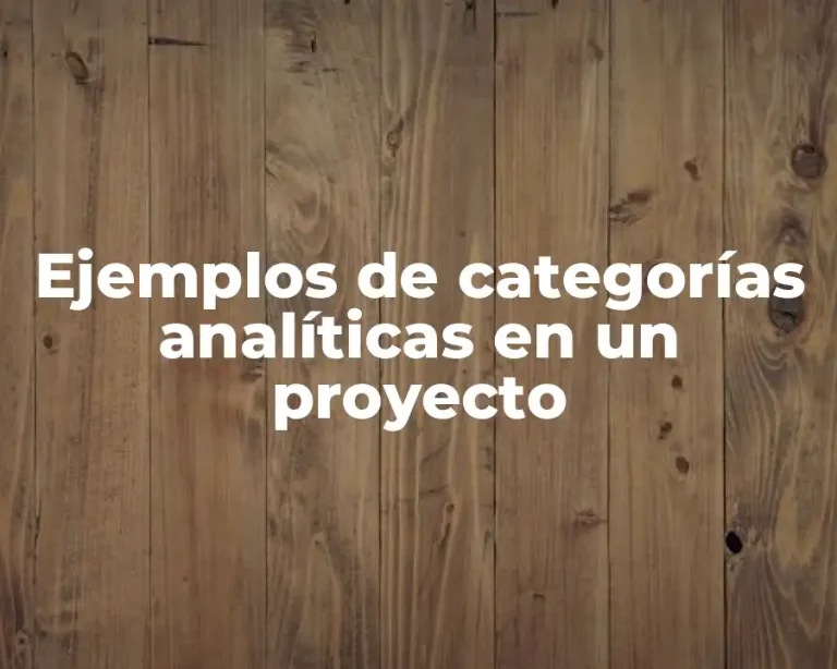 Ejemplos de categorías analíticas en un proyecto