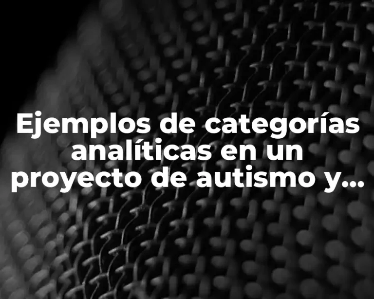 Ejemplos de categorías analíticas en un proyecto de autismo y Significado