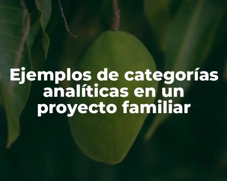 Ejemplos de categorías analíticas en un proyecto familiar
