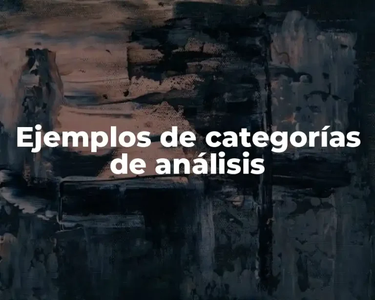 Ejemplos de categorías de análisis