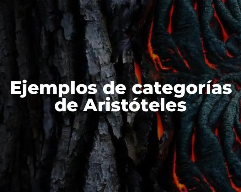 Ejemplos de categorías de Aristóteles