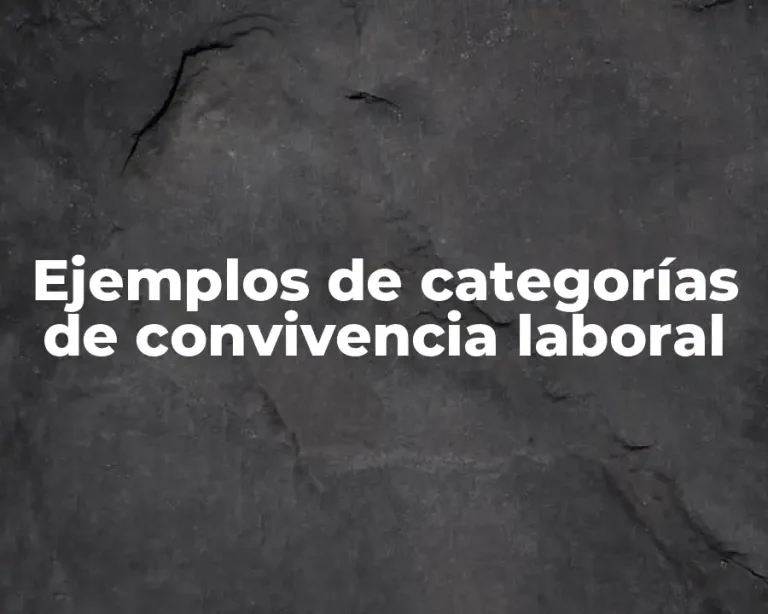 Ejemplos de categorías de convivencia laboral