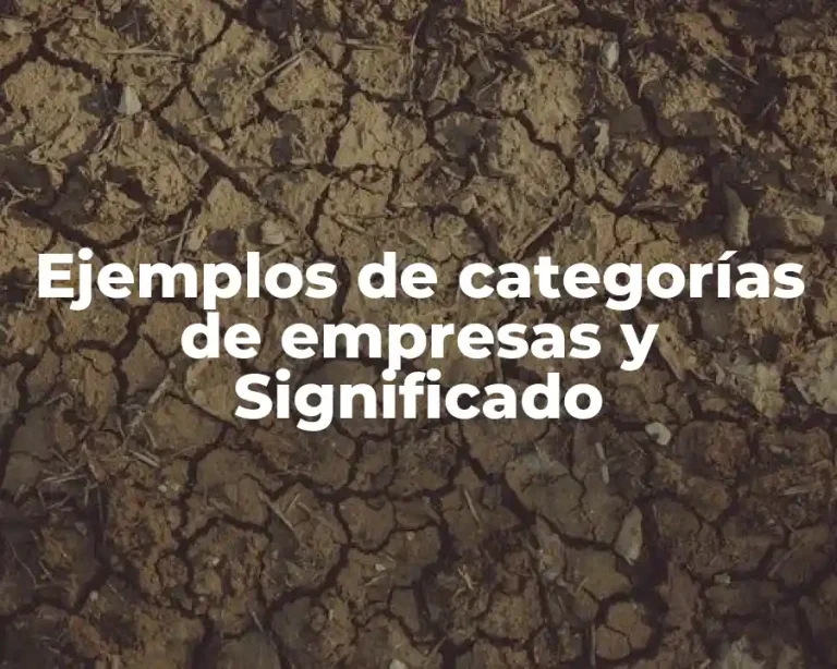 Ejemplos de categorías de empresas y Significado