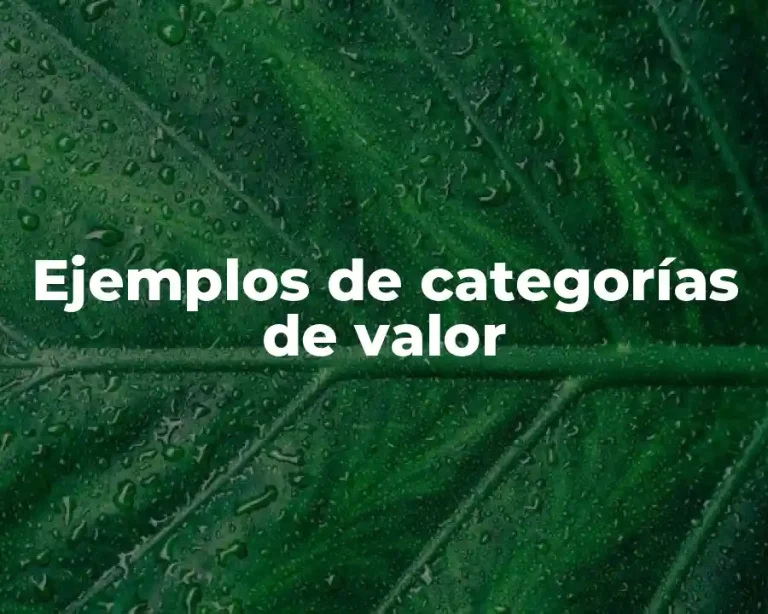 Ejemplos de categorías de valor