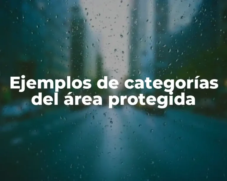 Ejemplos de categorías del área protegida