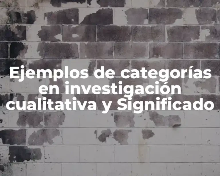 Ejemplos de categorías en investigación cualitativa y Significado