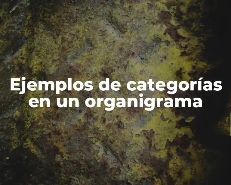 Ejemplos de categorías en un organigrama