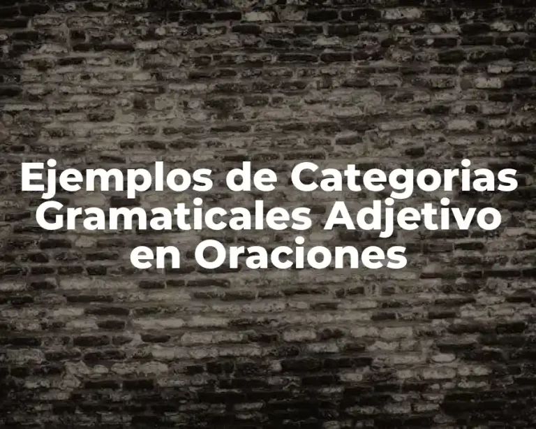 Ejemplos de Categorias Gramaticales Adjetivo en Oraciones