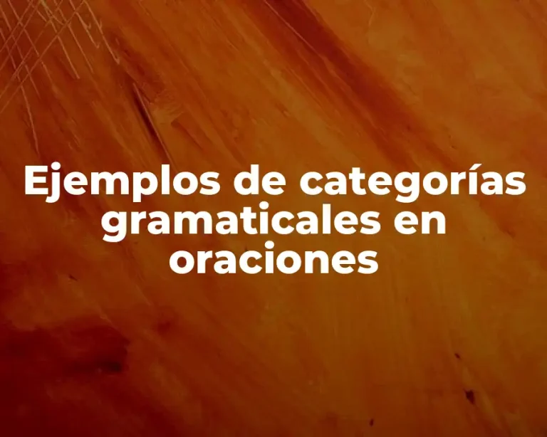 Ejemplos de categorías gramaticales en oraciones
