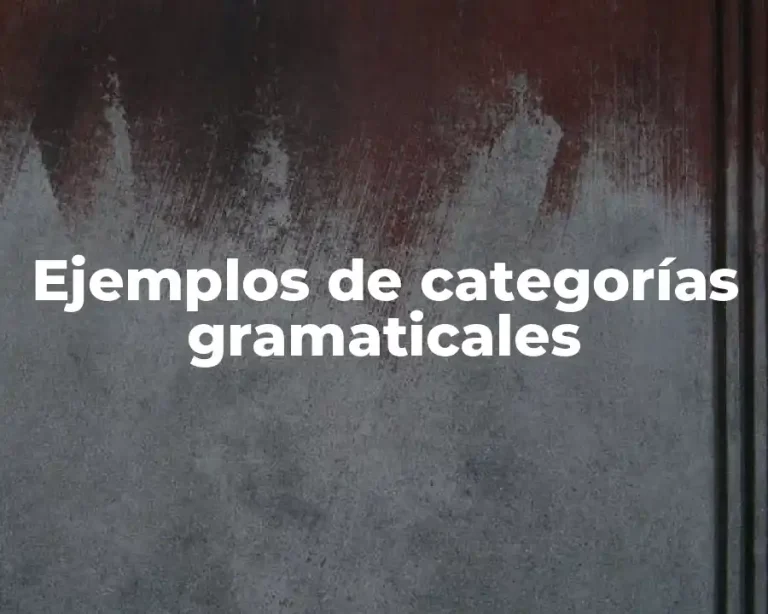 Ejemplos de categorías gramaticales