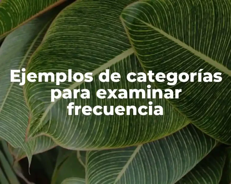 Ejemplos de categorías para examinar frecuencia