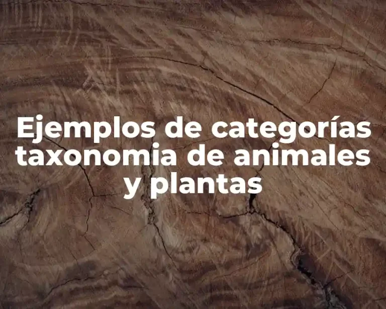 Ejemplos de categorías taxonomia de animales y plantas