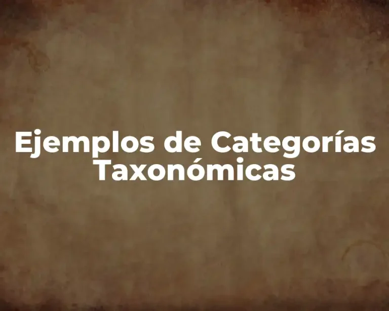 Ejemplos de Categorías Taxonómicas
