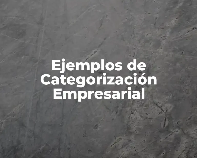 Ejemplos de Categorización Empresarial