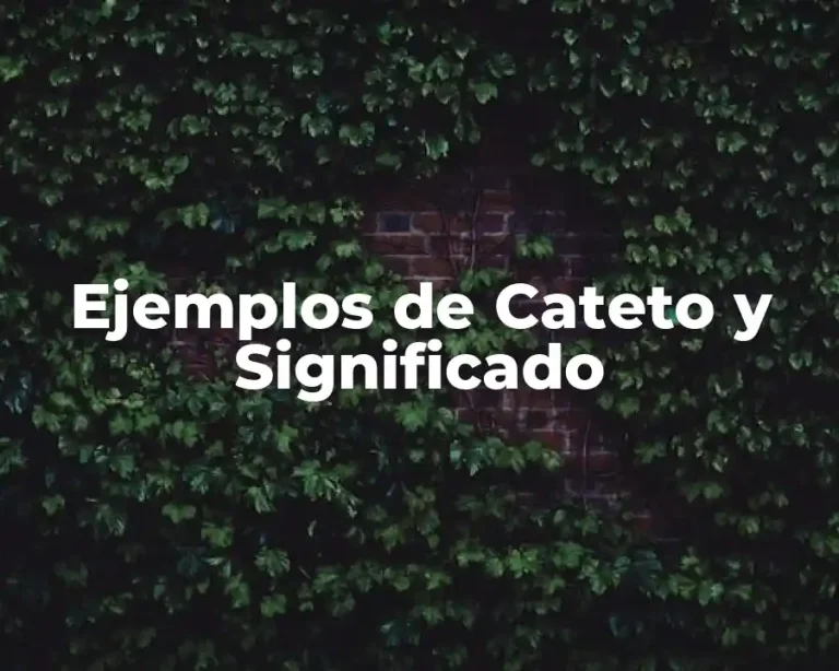 Ejemplos de Cateto y Significado