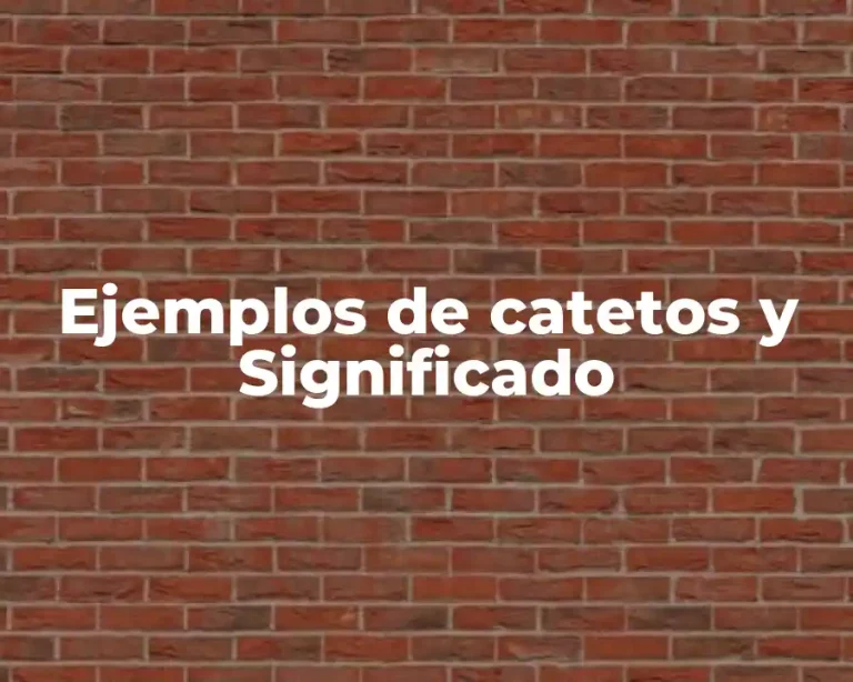 Ejemplos de catetos y Significado