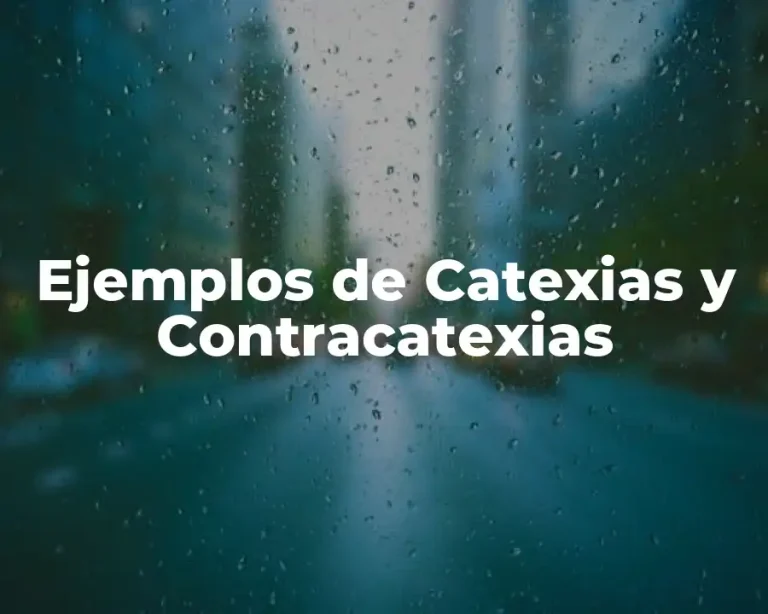 Ejemplos de Catexias y Contracatexias