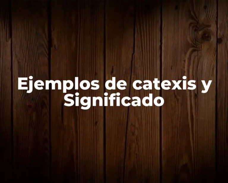 Ejemplos de catexis y Significado