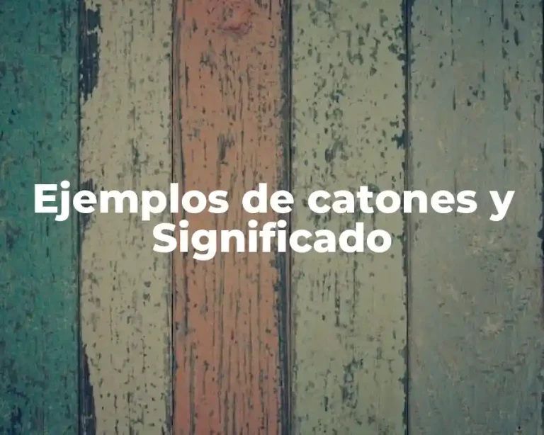 Ejemplos de catones y Significado