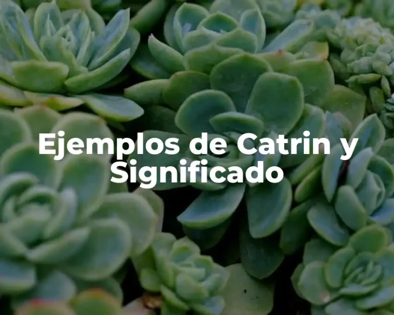 Ejemplos de Catrin y Significado