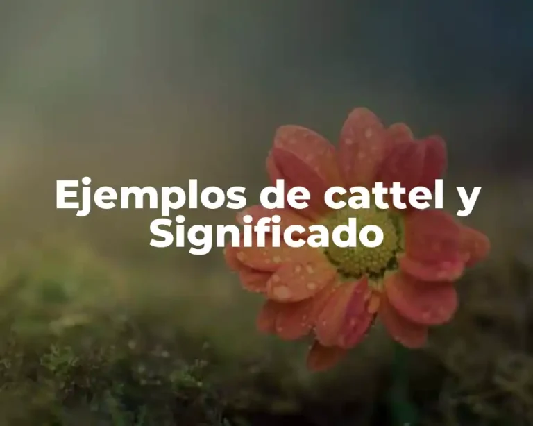 Ejemplos de cattel y Significado