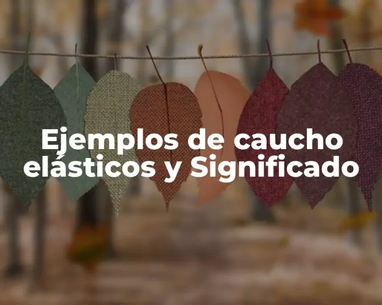 Ejemplos de caucho elásticos y Significado