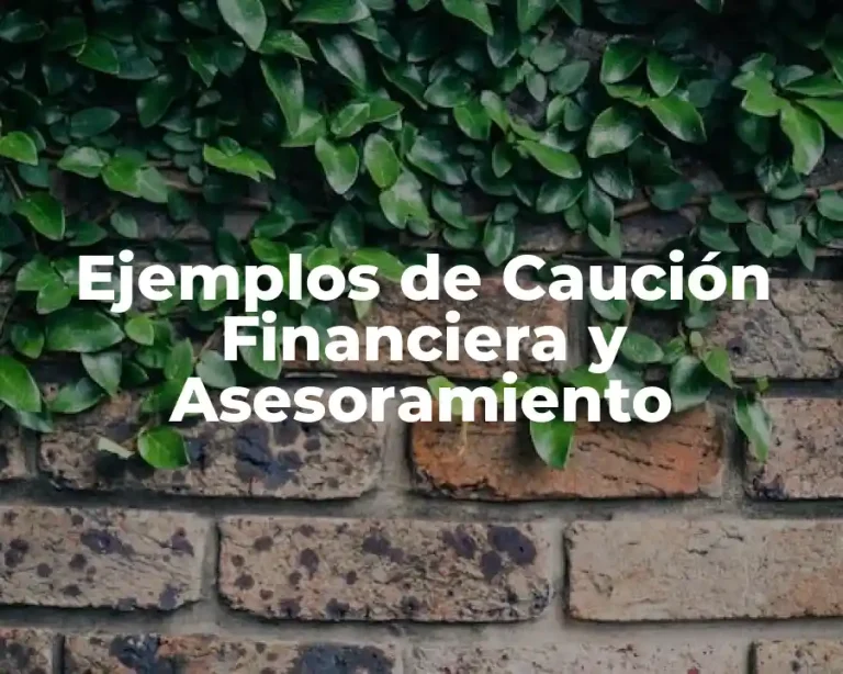 Ejemplos de Caución Financiera y Asesoramiento