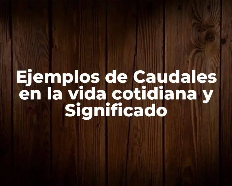 Ejemplos de Caudales en la vida cotidiana y Significado