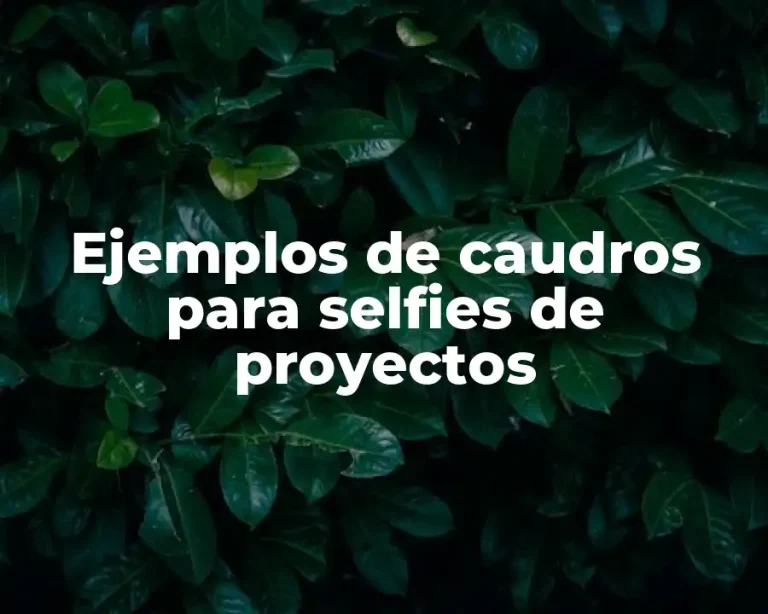 Ejemplos de caudros para selfies de proyectos