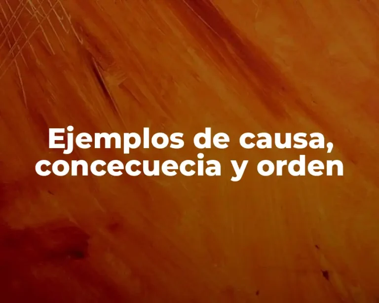 Ejemplos de causa, concecuecia y orden