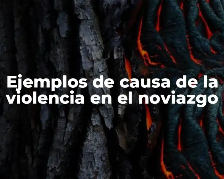 Ejemplos de causa de la violencia en el noviazgo