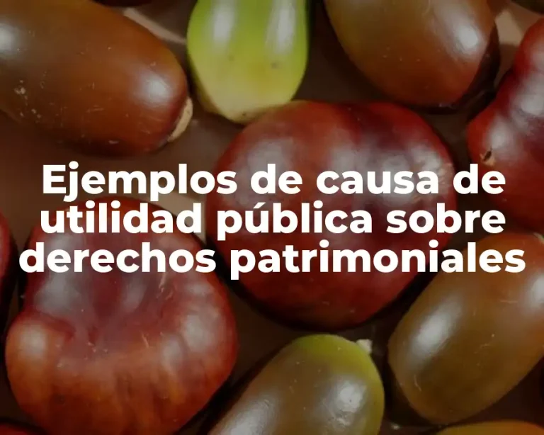 Ejemplos de causa de utilidad pública sobre derechos patrimoniales