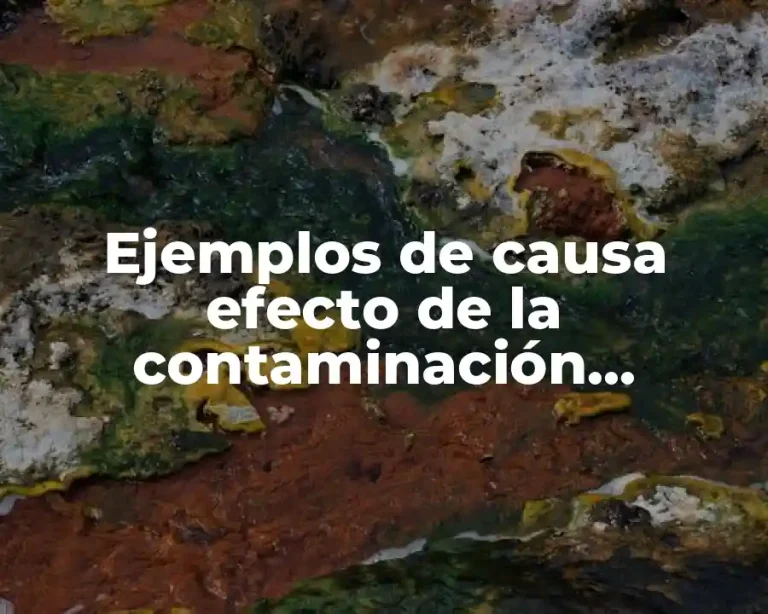 Ejemplos de causa efecto de la contaminación ambiental dibujos animados