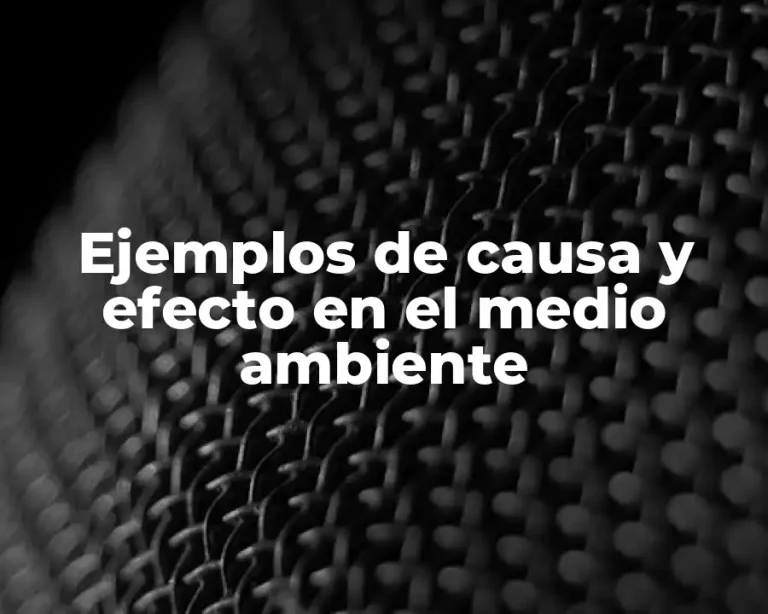 Ejemplos de causa y efecto en el medio ambiente