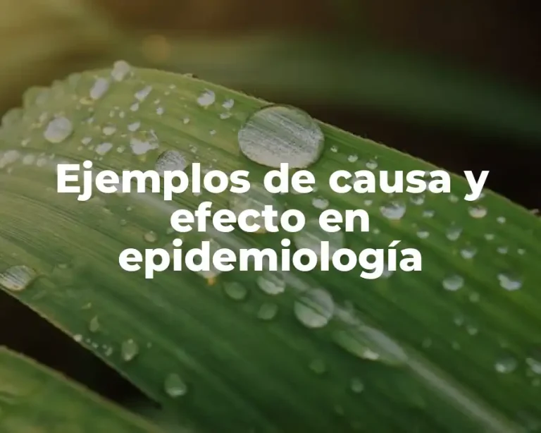 Ejemplos de causa y efecto en epidemiología