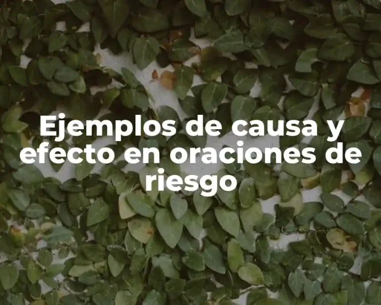 Ejemplos de causa y efecto en oraciones de riesgo