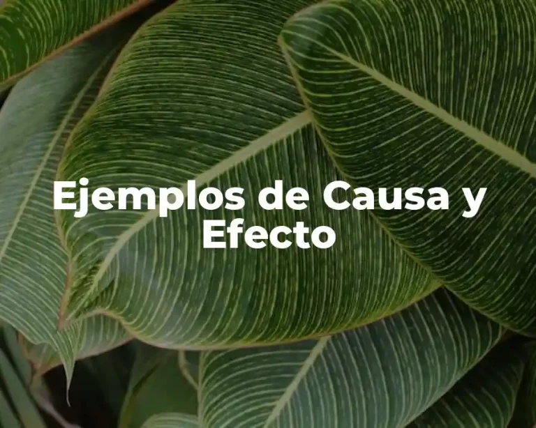 Ejemplos de Causa y Efecto