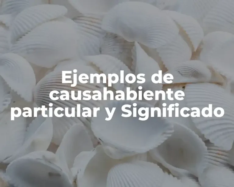 Ejemplos de causahabiente particular y Significado